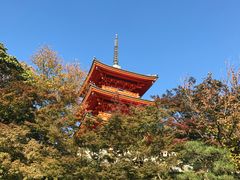-有栖山 清光院 清水寺