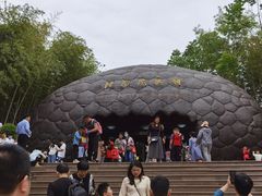 -中国西峡恐龙遗迹园