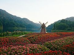 -广州市石门国家森林公园