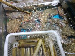 -九层海鲜塔(市南店)