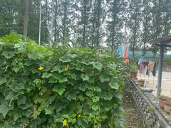 -小六农家乐(崇明西沙湿地店)