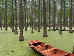 -渌洋湖湿地公园