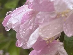 -海棠花溪(元大都城垣遗址公园)