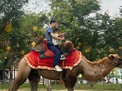 -华夏文旅西安度假区