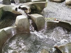 -成都市活水公园