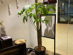 -Dragonfly悠庭·按摩Spa(浦东嘉里城店)
