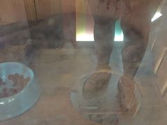 -203密室体验馆·逃脱·聚会·亲子(工体店)