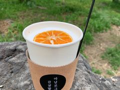 -柑橘农场