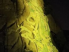 -印象普陀