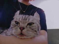 -极木²邸 人与宠物·互动社区