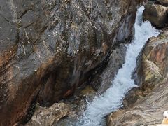 -广州白江湖森林公园