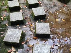 -云南屏边大围山国家公园