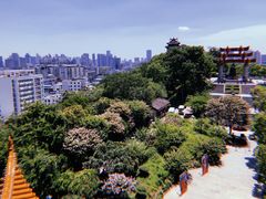 -黄鹤楼公园(黄鹤楼)