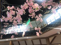 -松子料理(亮马桥店)