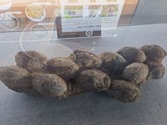 -中国西峡恐龙遗迹园
