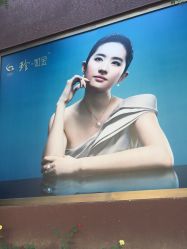 -中国黄金(北京旗舰店)