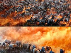 -罗红摄影艺术馆