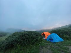 -秦岭风景区