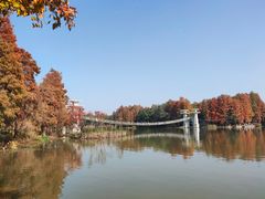-东湖落雁景区