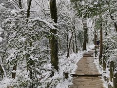 -青城山