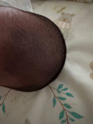 点击看大图 -慧婴轩婴儿理胎发胎毛笔胎毛画手足印(通州店)