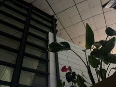 -郑州新郑国际机场-T2航站楼