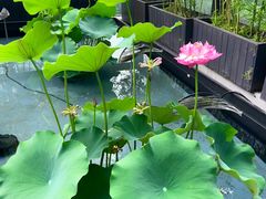 -许家菜.艺创菜(仁和新城店)