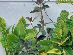 -漫笙舍Manse·咖啡·民宿