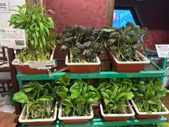 -天和晟新京菜.水煮鱼.湘土菜(国展店)