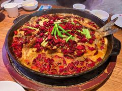 -老板恋上鱼(恒隆广场店)