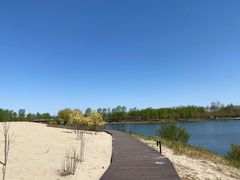 -东郊湿地公园