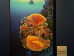-福州海峡文化艺术中心
