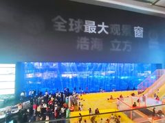 -成都浩海立方海洋公园