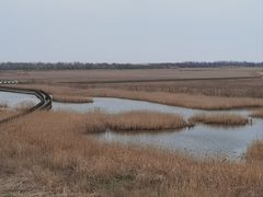 -盐城丹顶鹤湿地生态旅游区