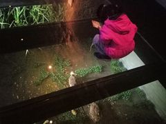 -上海崧泽遗址博物馆