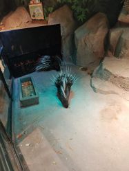 -酷嗒动物文化乐园(cutezoo西溪乐天城店)