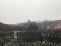 -辛亥革命博物院北区