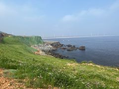 -长江澳风力发电景观区