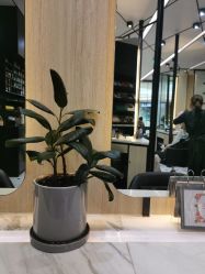 -HAIR CORNER
