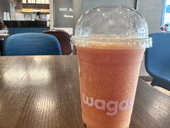 -Wagas沃歌斯(大学路店)