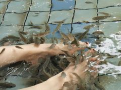 -江门古兜温泉小镇