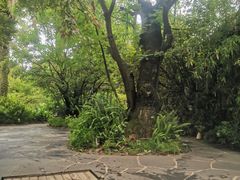-昆明柏联SPA温泉