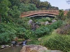 -云溪植物园