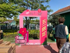 -荷兰花海