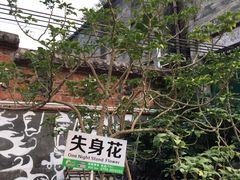 -赤坎古镇影视城