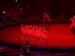 -珠海横琴长隆《卡卡虎奇遇记》