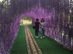 -长洲岛都市农业公园