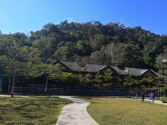 -野象谷景区