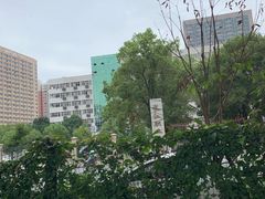 -长江职业学院