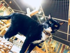 -小时光咖啡馆(开森度假森林店)